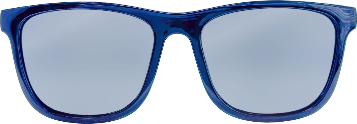 Zoom Collection Sunglasses 002 frame