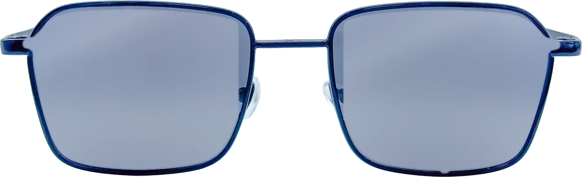 Zoom Collection Sunglasses 030 frame