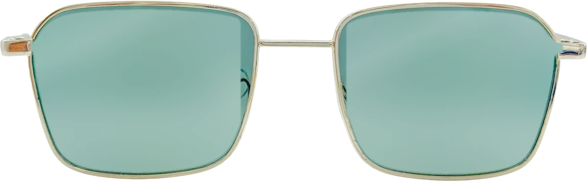 Zoom Collection Sunglasses 031 frame