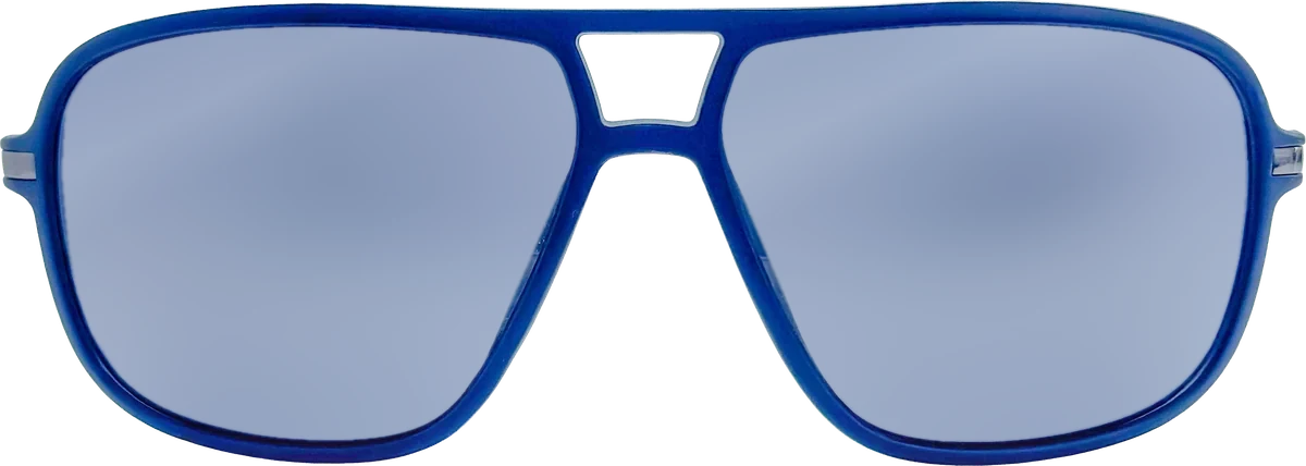 Zoom Collection Sunglasses 039 frame