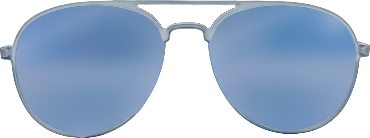 Zoom Collection Sunglasses 040 frame
