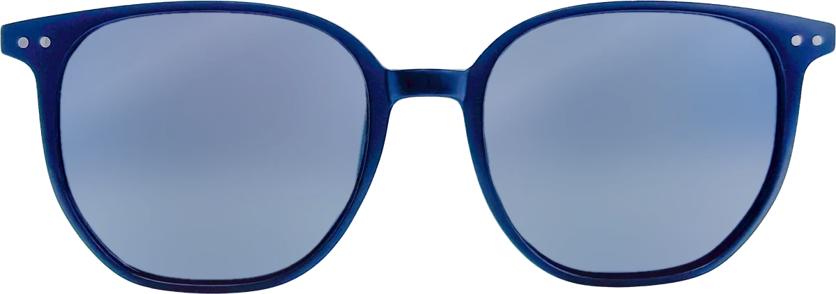 Zoom Collection Sunglasses 041 frame