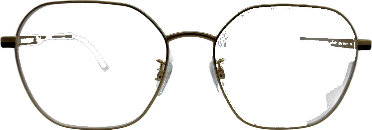 Emporio Armani Geometric Metal Eyeglasses, Gold frame