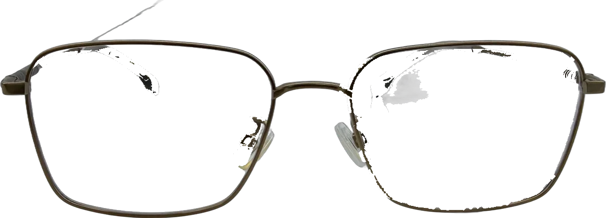 BOSS Square Beta Titanium Eyeglasses, Bronze frame