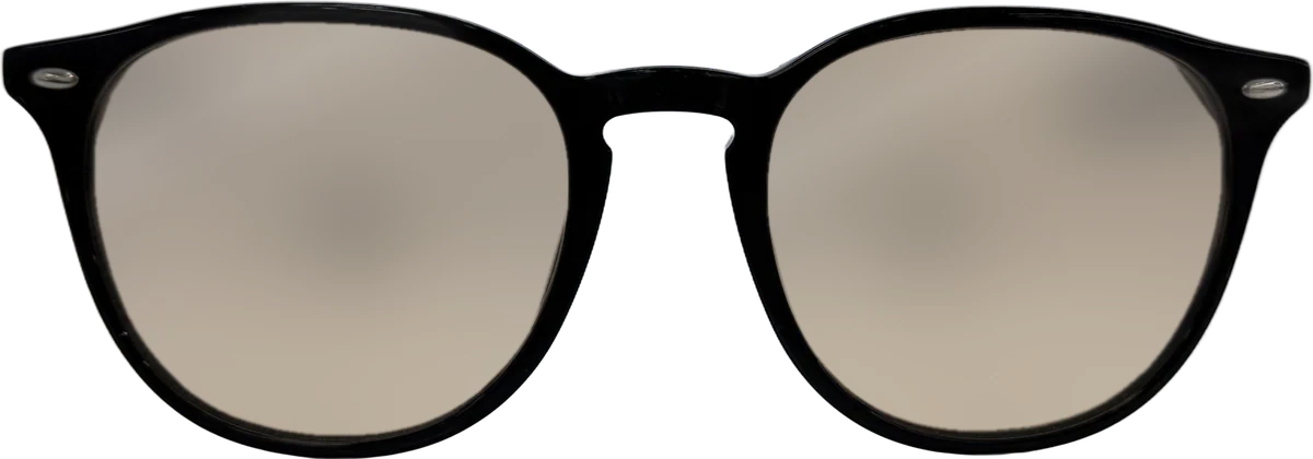 Ray-Ban Round Acetate Sunglasses, Black frame