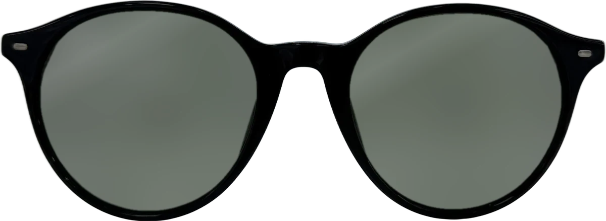 Ray-Ban Round Acetate Sunglasses, Black 2 frame