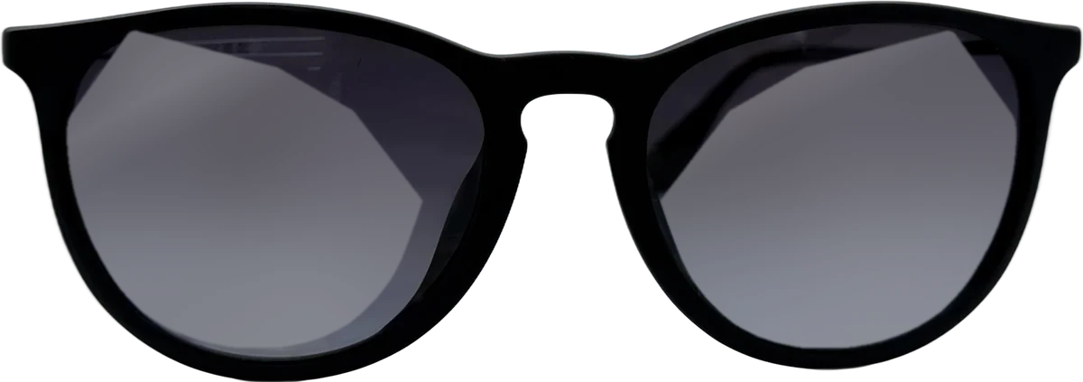 Ray-Ban Round Acetate Sunglasses, Black 3 frame