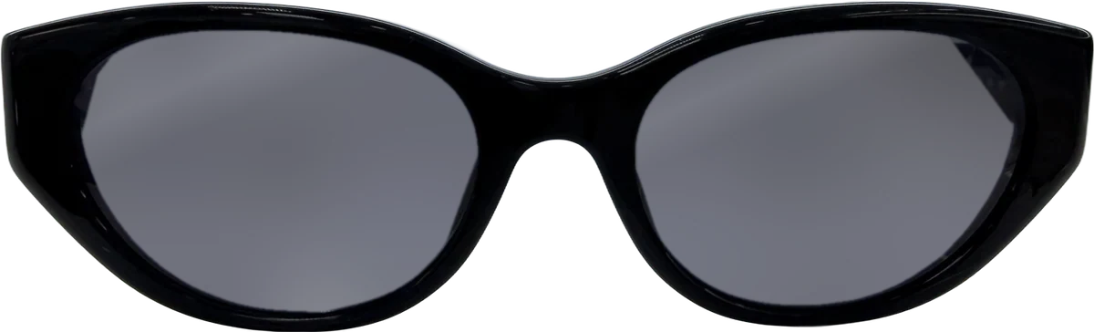 Ray-Ban Cat-eye Acetate Sunglasses, Black frame